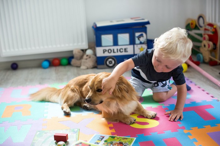 子供にちょっかいを出されている犬