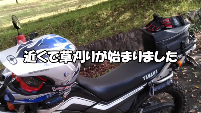 芝刈りが運命を変えることに…