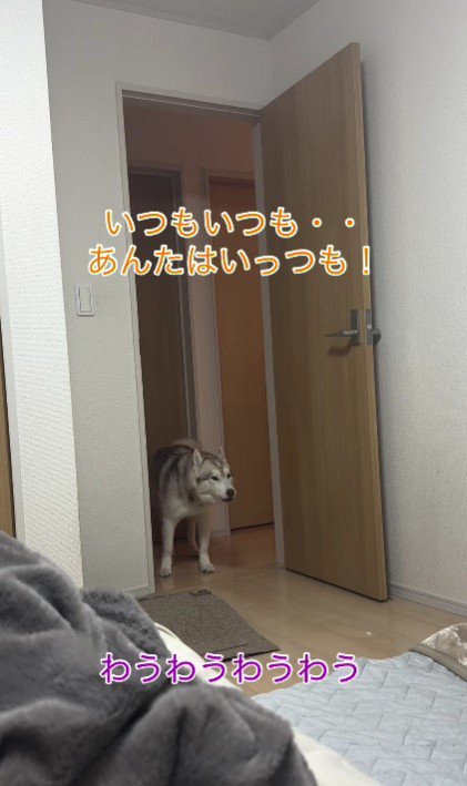 「いつもいつも！！」