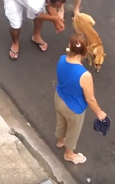 人の腕からすり抜けた犬