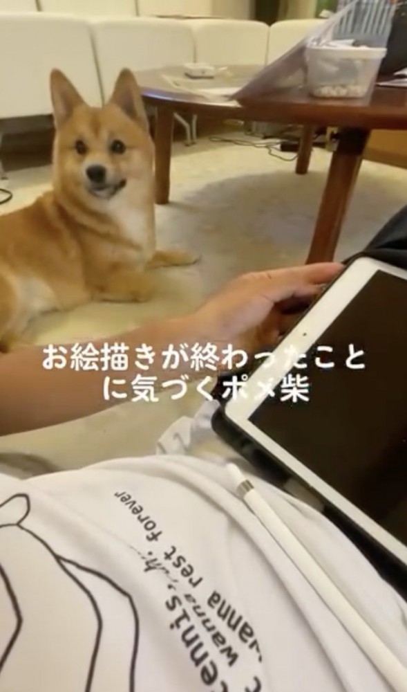 「終わりましたよね？」