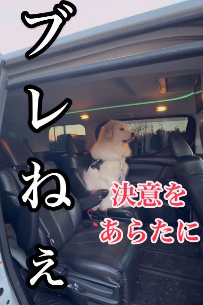 「そんなんじゃ釣れねえ」