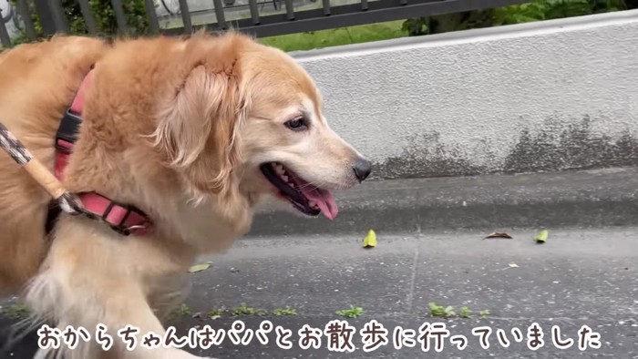 ちょっぴり寂しくなってきた?