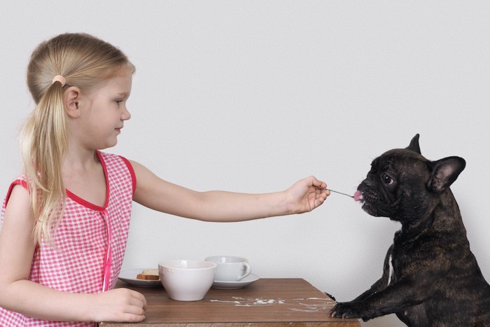 おやつを犬にお裾分けする女の子