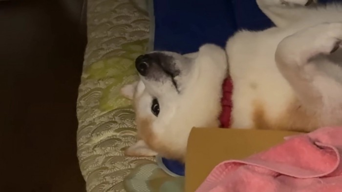 こっち見てる！！