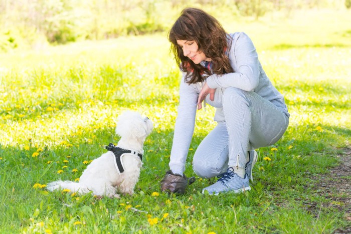 ウンチをとる女性とそれを見る犬