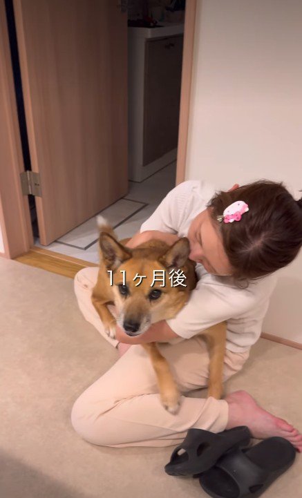 表情に変化が