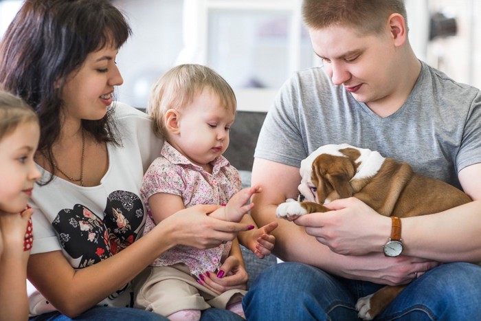 家族に囲まれ子犬