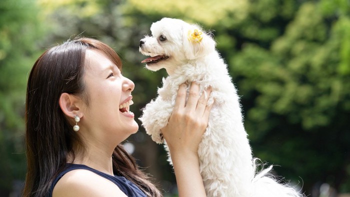 犬と女性