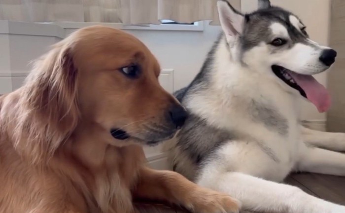 「もしかして…」