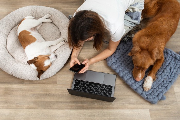 人の両サイドにクッションに寝る犬