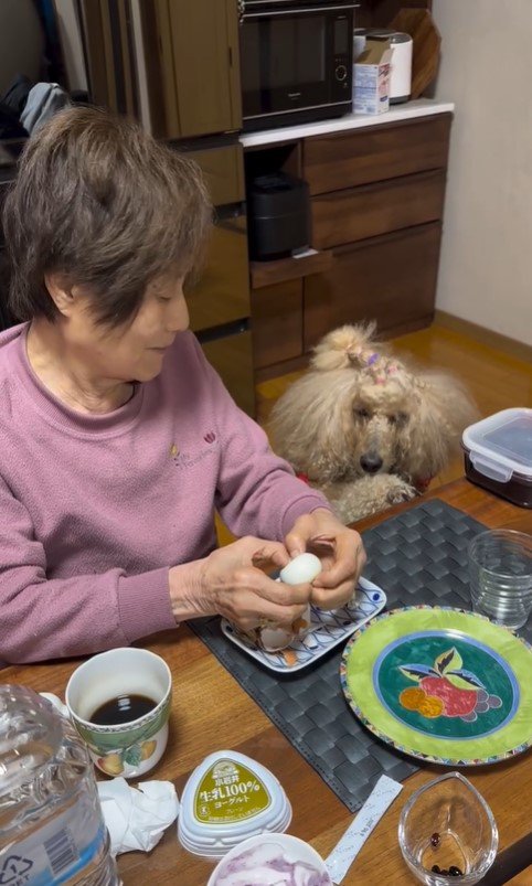 おばあちゃんの朝ご飯を狙うワンコたち2