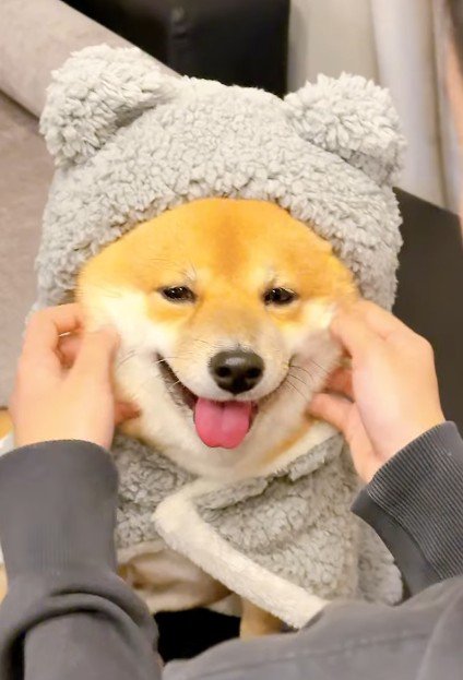 どんな表情も可愛らしい!