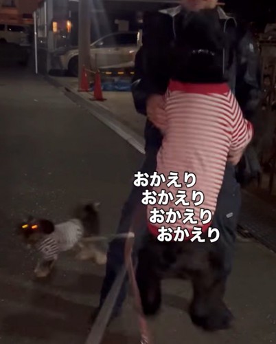 男性と会えて嬉しそうにはしゃぐ2頭の犬