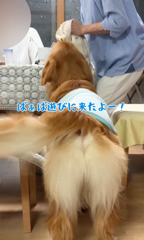 おばあちゃんにご挨拶♪