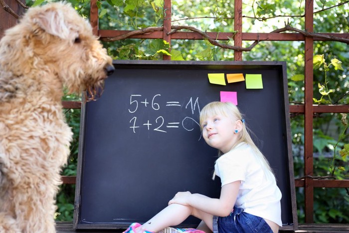 黒板の前で勉強中の女の子と犬