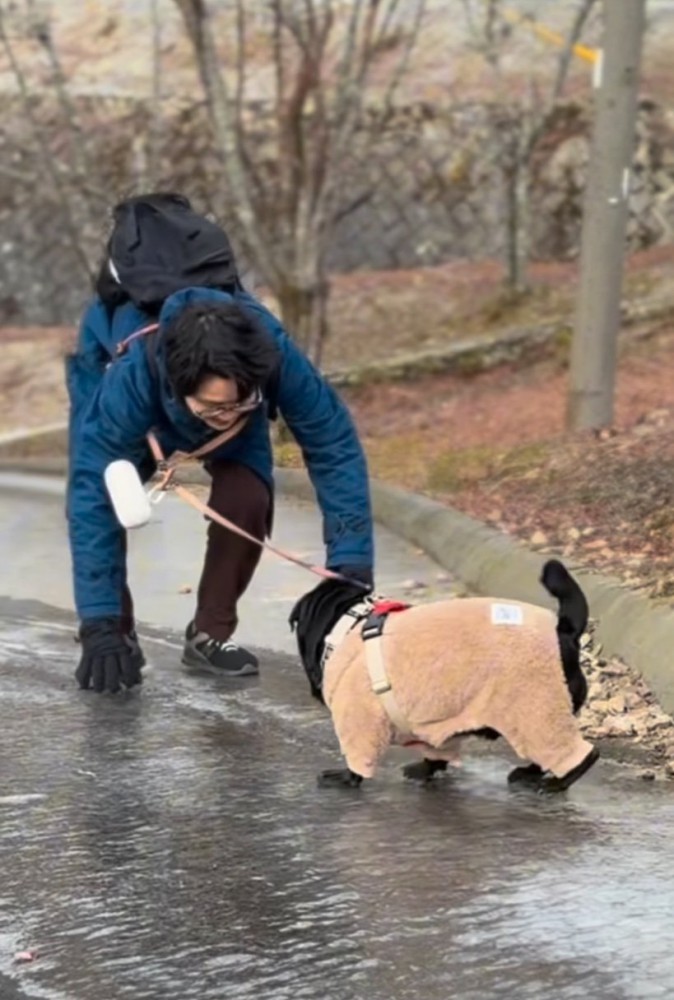 男性を追いかけるパグ