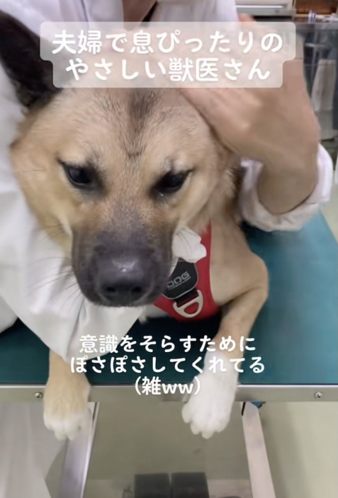 うーらんくん、おててはギュッ