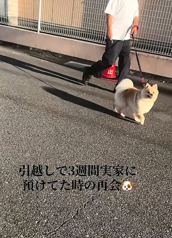 笑顔のサニーくん