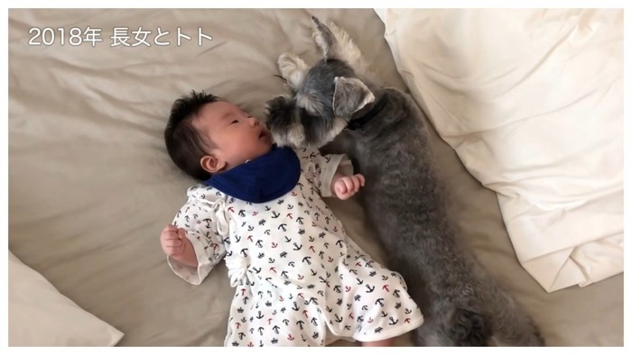 長女ちゃんが赤ちゃんの時の光景
