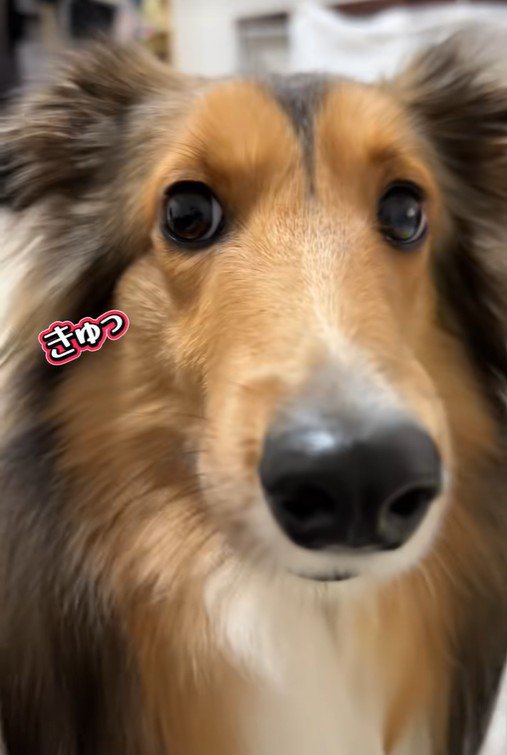 「ヤバいっ、バレた…」