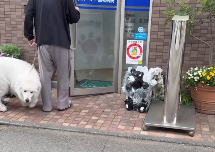 入口でくるりと方向転換する犬