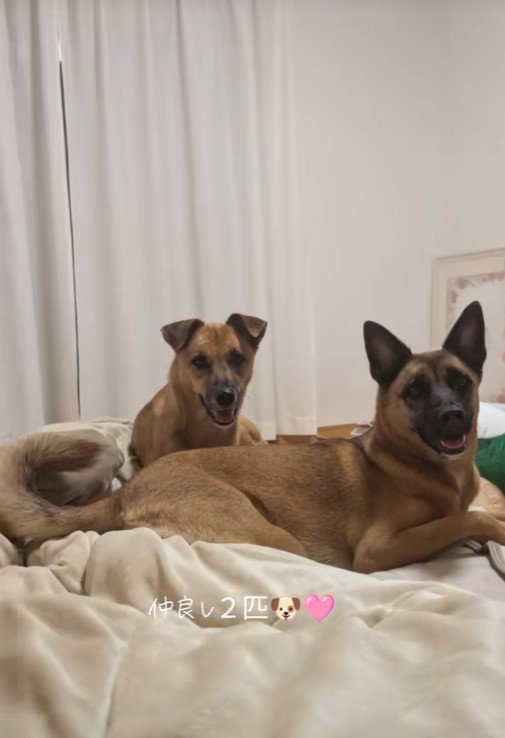 モアちゃん＆ララちゃん