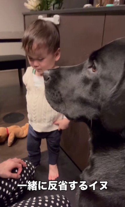 「もうやめてあげて」