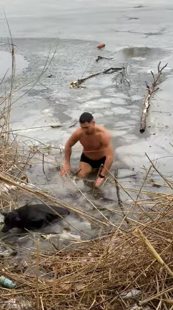 足がつき岸に上がる犬