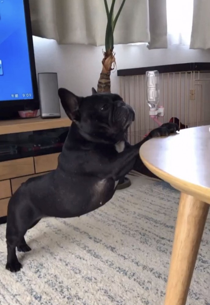 ストレッチ6