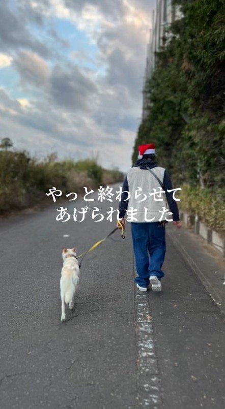 保護スタッフと散歩する犬
