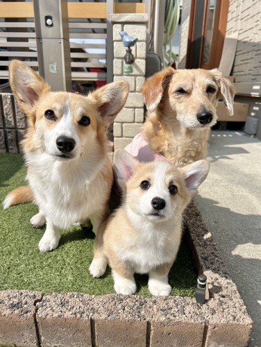 仲良し3姉妹