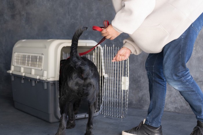 クレートに入る練習