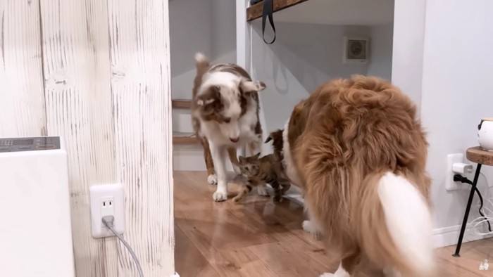 たまちゃんにベッタリ…♡