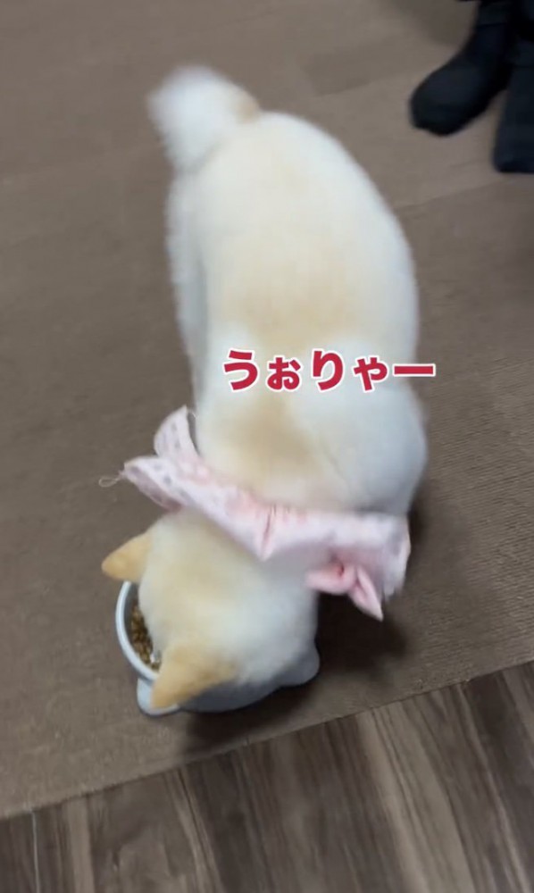 回転してる