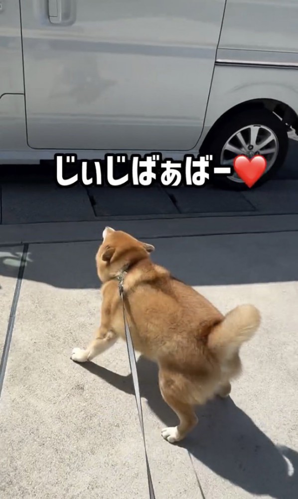 喜び大爆発！