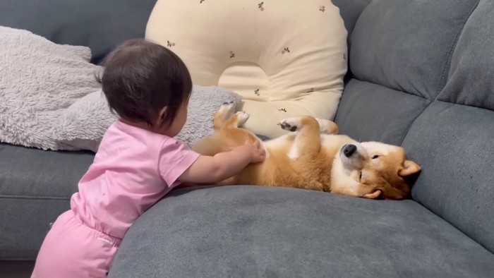 うにくんに触りたい