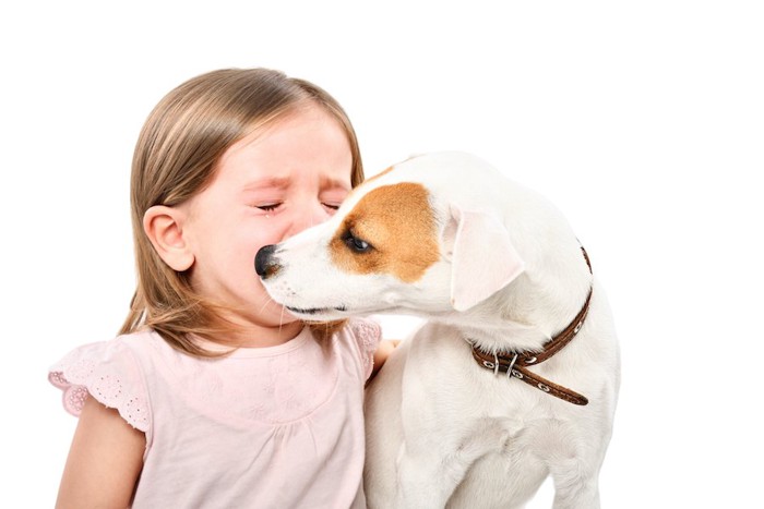 泣いている女の子の顔を舐める犬