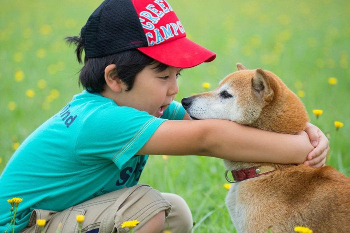 柴犬と子ども