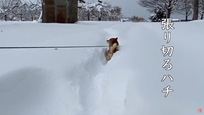 ズカズカと突っ込む