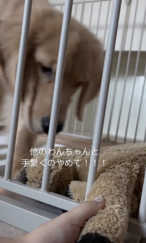 お怒りの様子