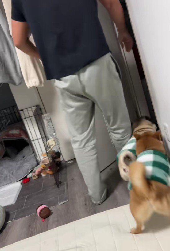 元気いっぱいな2匹でした