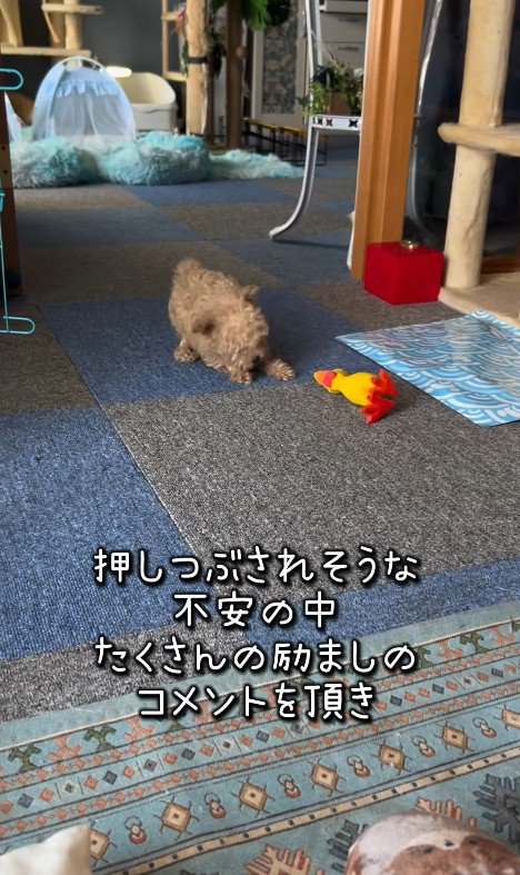 みらいちゃんが元気になるまで5