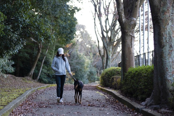 散歩する犬