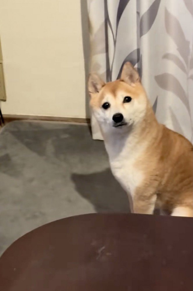 「ストーブ、つけよ…？」