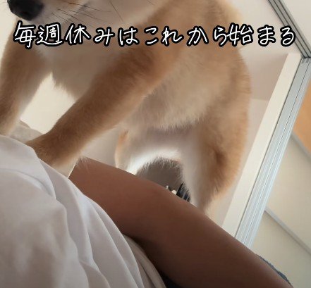 夫婦を起こすのは…