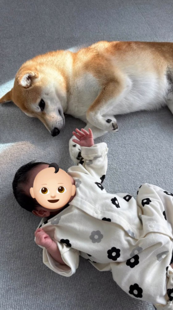 隣にいる赤ちゃんを寝転がりながら見つめる犬