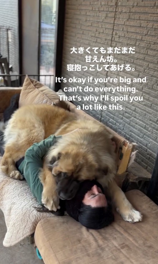 甘えたいよね