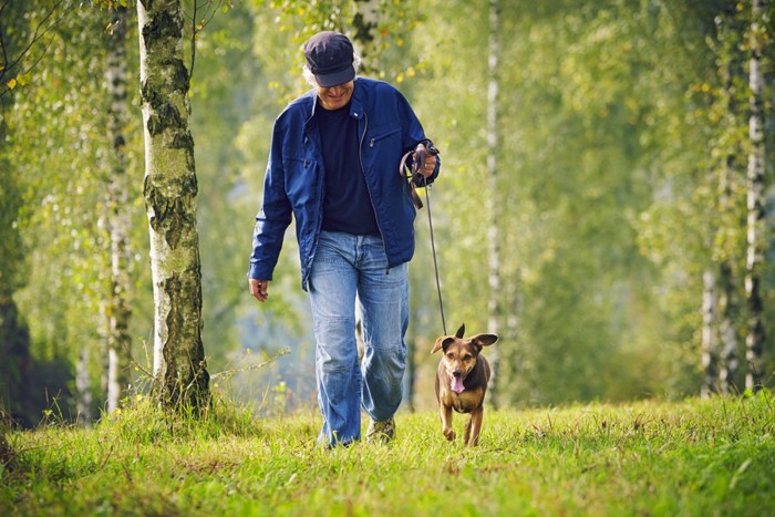 老人と犬