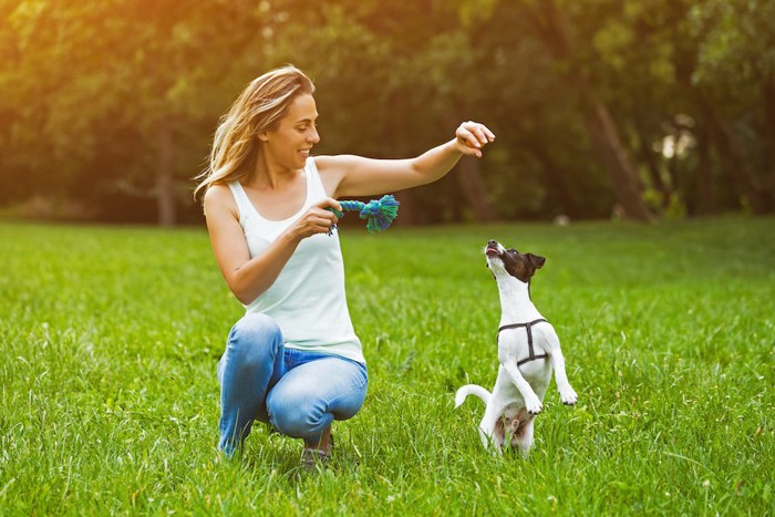 芝生の上で犬と遊ぶ女性